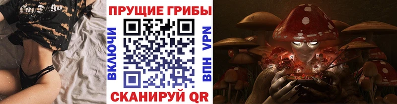 сколько стоит  Лахденпохья  Псилоцибиновые грибы мухоморы 